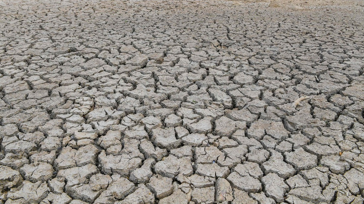 کمک 850 هزار دلاری به ایران در راستای مقابله با خشکسالی/ اعزام تیمهای روانپزشکی به مناطق درگیر با خشکسالی