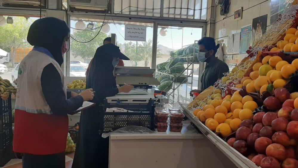 بهره مندی بیش از ۱۱ هزار نفر در هرمزگان از خدمات «ناظران سلامت»