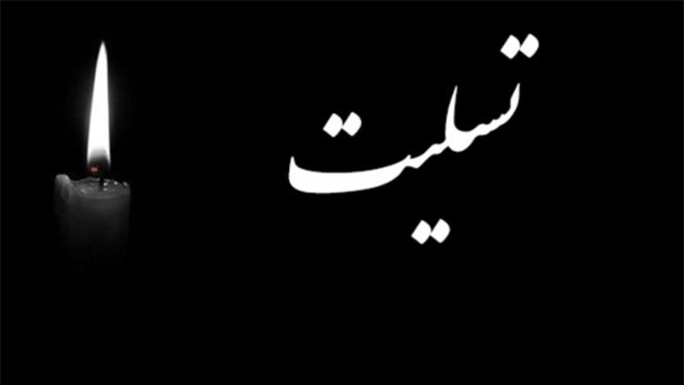 پیام تسلیت دبیرکل جمعیت هلال احمر به مناسبت درگذشت دکتر عرب نژاد