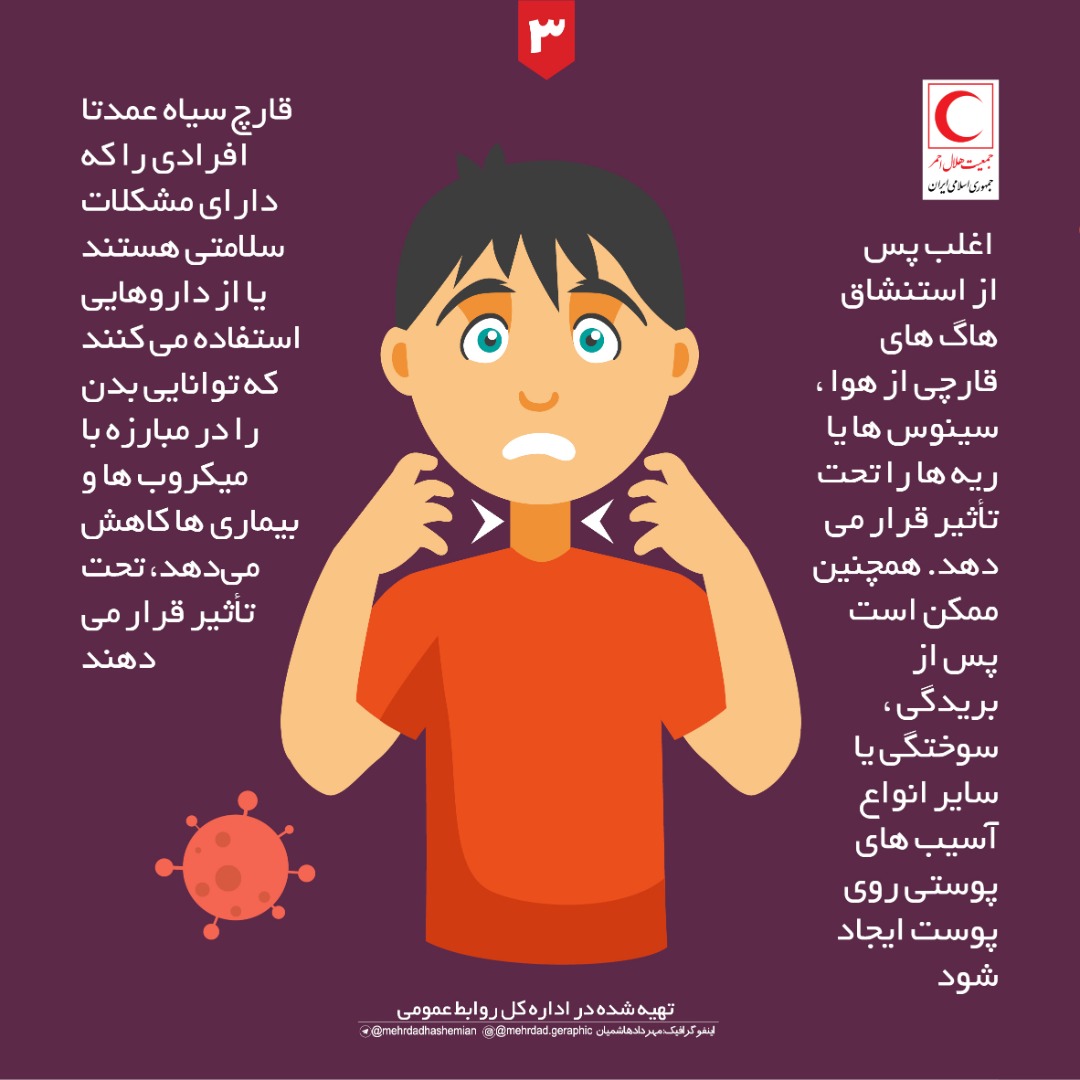 قارچ سیاه در کمین چه افرادی است؟/ اینفوگرافیک