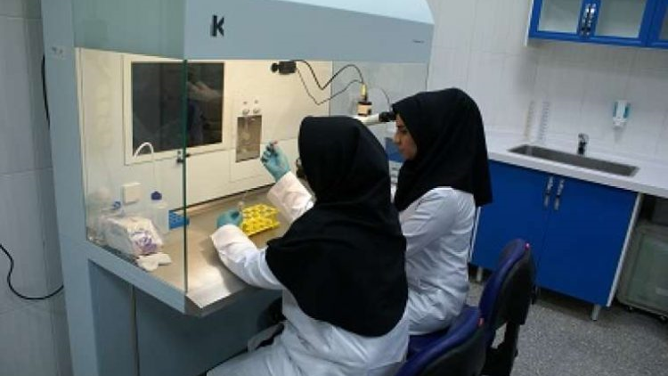 بیماریهای نادر نوزادان درمان میشود/تعیین جنسیت فرزندان پیش از بارداری در مرکز رویش هلال ایران