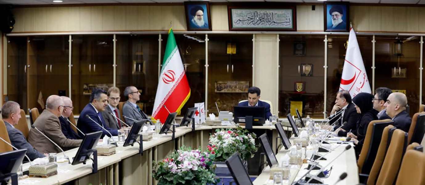 دیدار سفیر اتریش با دکتر پیوندی/ راههای گسترش همکاری با اروپا بررسی شد