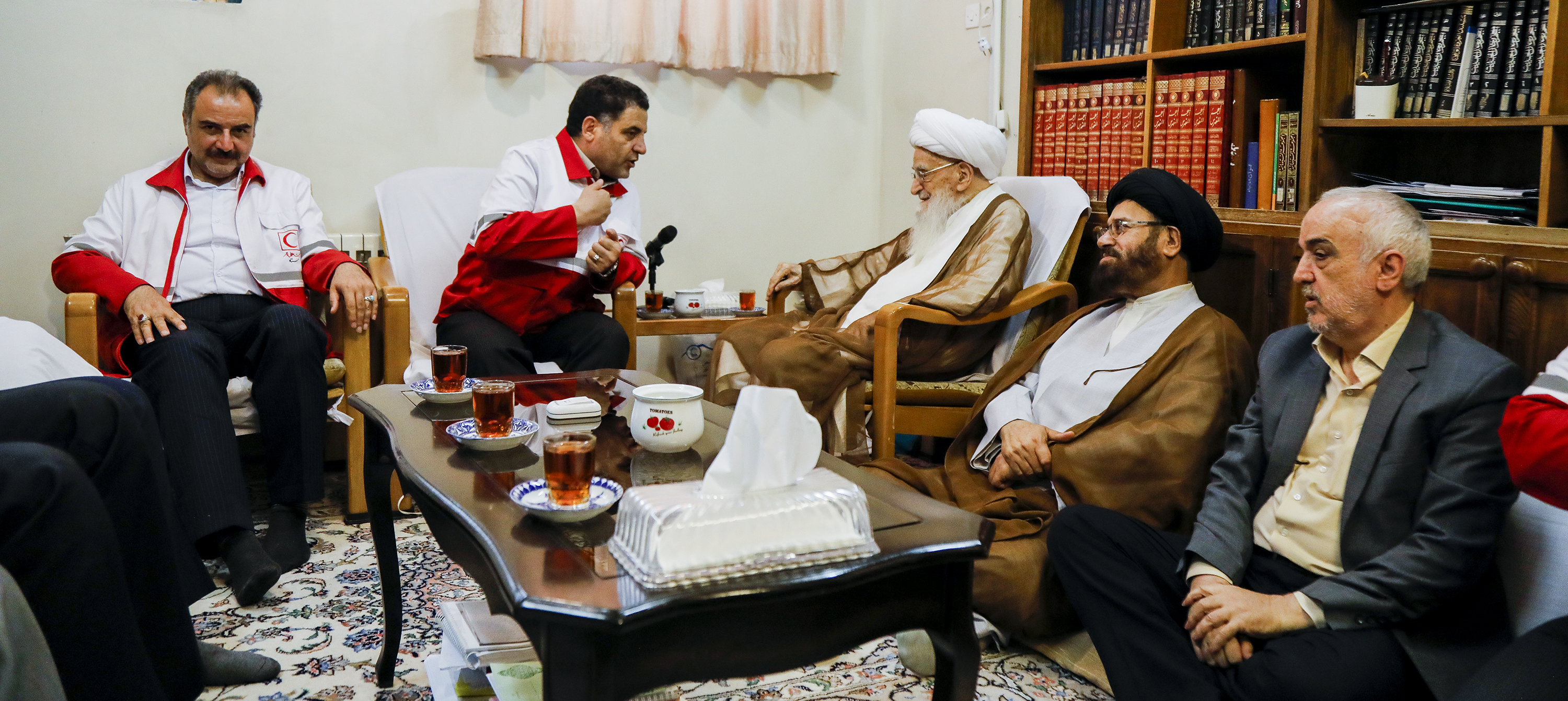 دیدار رئیس و مسئولان جمعیت هلال احمر با آیات عظام تقلید-1/ آیت الله صافی گلپایگانی: عملکرد هلال احمر در سیل سند افتخار نظام است