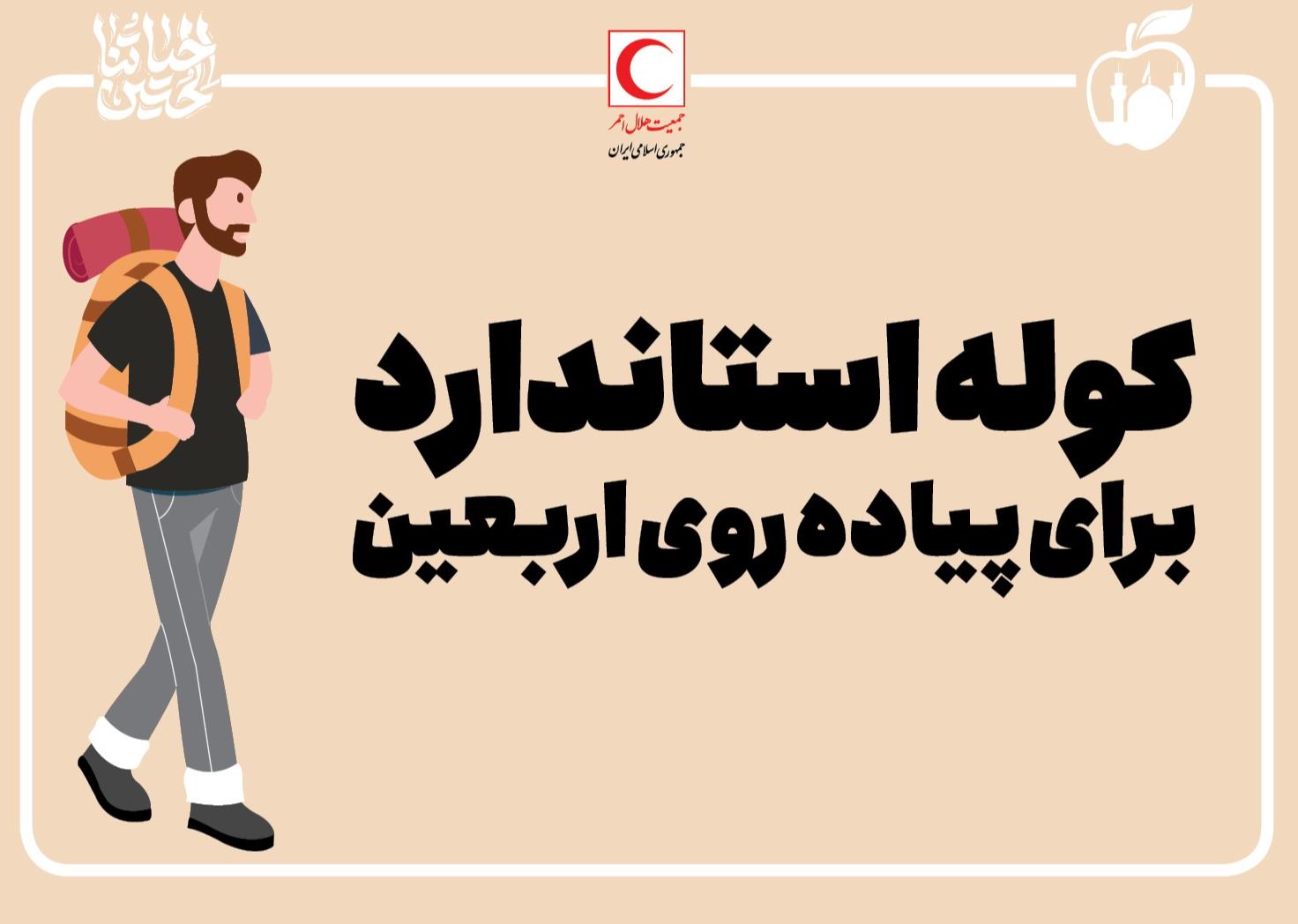 کوله استاندارد در پیادهروی اربعین/ اینفوگرافیک