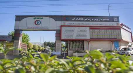 افزایش چشمگیر تعداد عمل های لازک چشم از تعداد 369 عمل درسال گذشته به هزار و 245 عمل جراحی / ارائه خدمات به 14 هزار و 94 نفر در طرح پایش سلامت