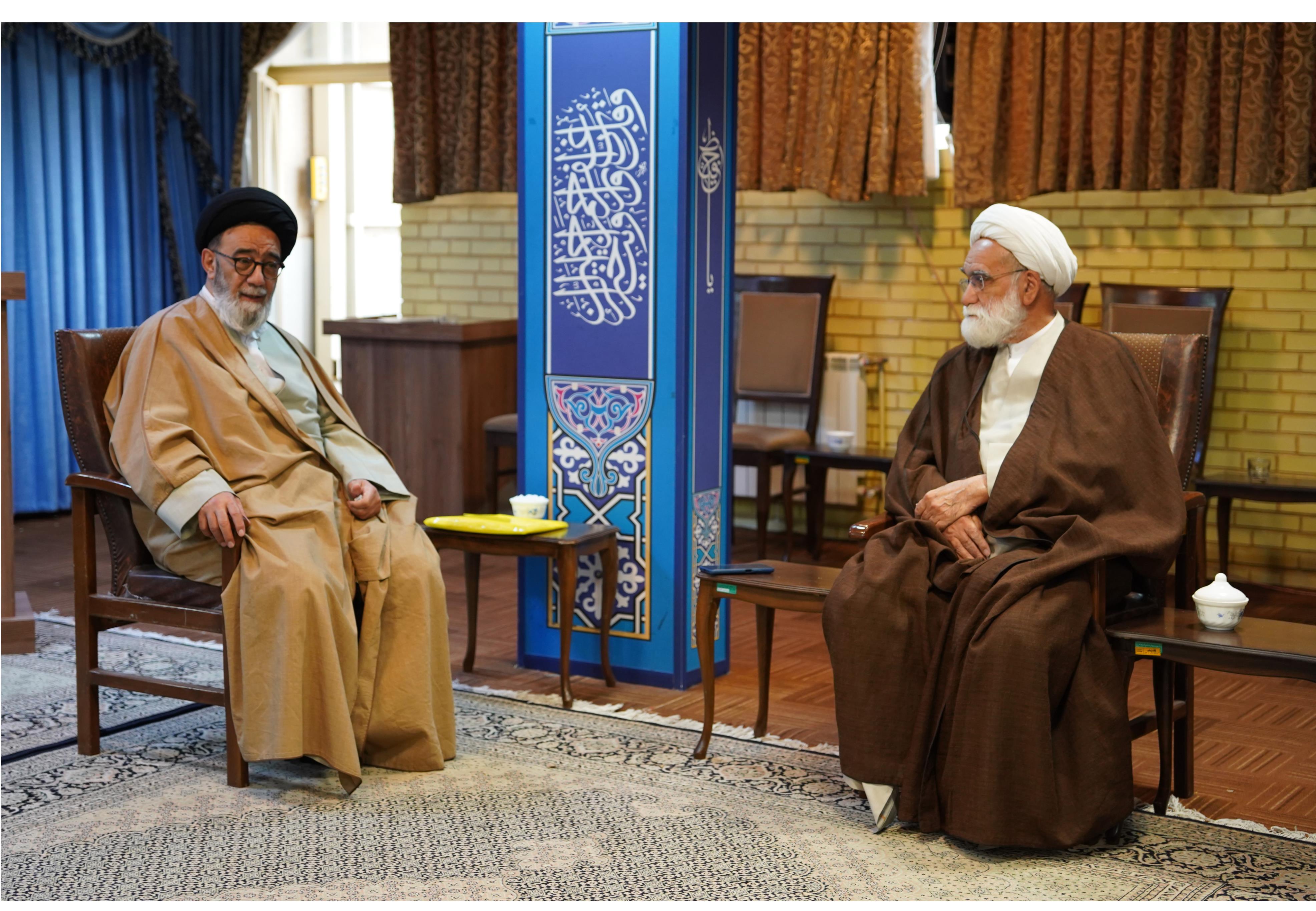 نماینده ولی فقیه در هلالاحمر با آیت الله آل هاشم دیدار کرد