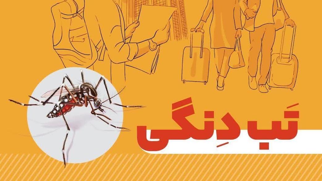 چرا باید شیوع بیماری تب دنگی را جدی بگیریم؟/ علائم و راههای انتقال