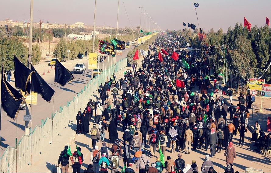 آشنایی با علائم بیماری تب دنگی در پیادهروی اربعین/موشنگرافی