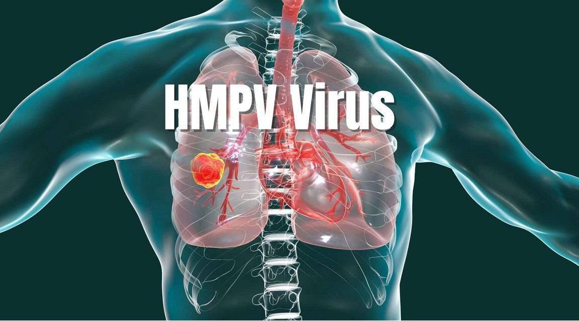 آشنایی با ویروس HMPV؛ علائم و پیشگیری / چه افرادى پر خطر هستند؟