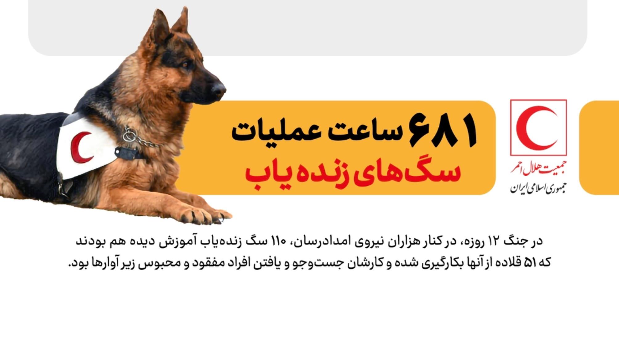 ۶۸۱ ساعت عملیات نجات با کمک سگهای زندهیاب در جنگ اخیر