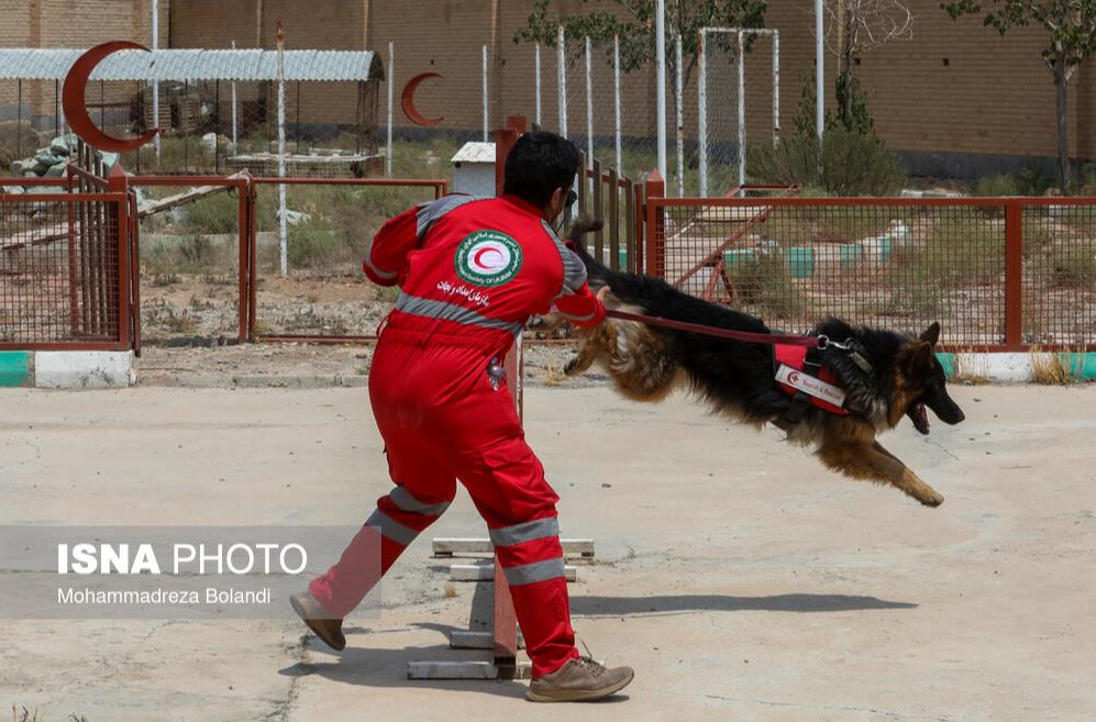جست وجوی ۱۸۸ پیکر و ۱۵ نفر زنده از زیر آوار توسط سگهای هلالاحمر در حملات وحشیانه رژیم صهیونیستی+فیلم