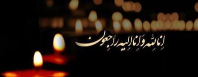 پیام تسلیت خزانه دار کل کشور به دکتر کولیوند