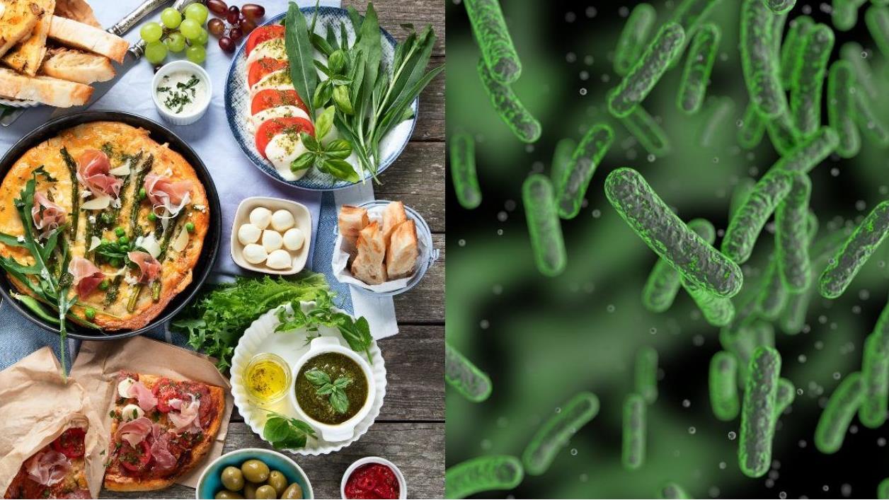 روز جهانی ایمنی مواد غذایی/ از چالشها تا راهحلها؛ غذای سالم و ایمن برای همه، در همهجا