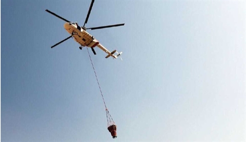 بحران در جنگل، امید در آسمان